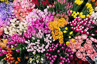 索尼组建新3A工作室 可能开发新的《神秘海域》游戏